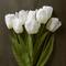 12 Pack: White Tulip Bush by Ashland&#xAE;